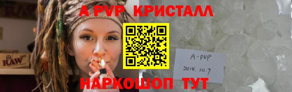 Alfa_PVP СК Тосно
