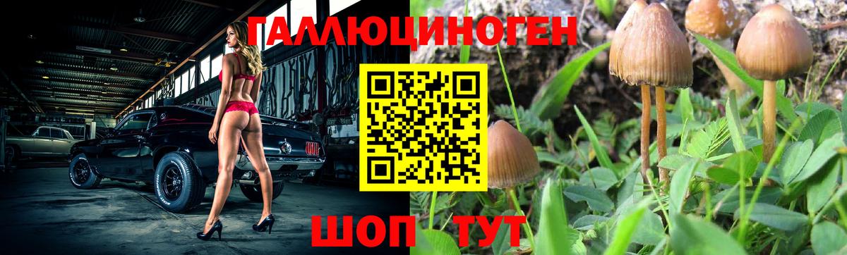 Псилоцибиновые грибы MAGIC MUSHROOMS Тосно